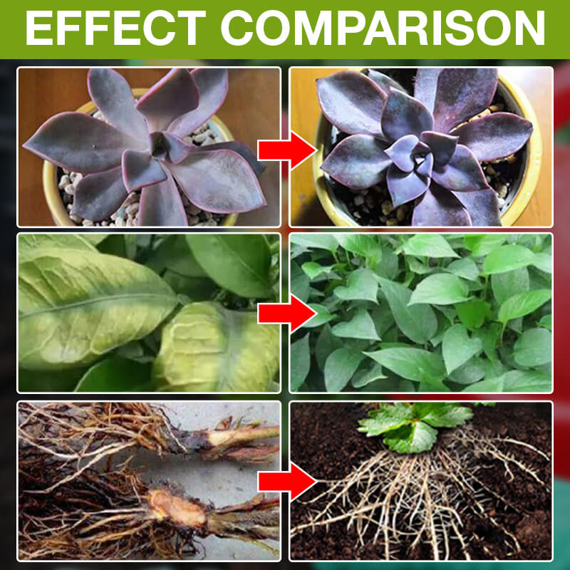 Suplemento Potenciador del Crecimiento Vegetal-5